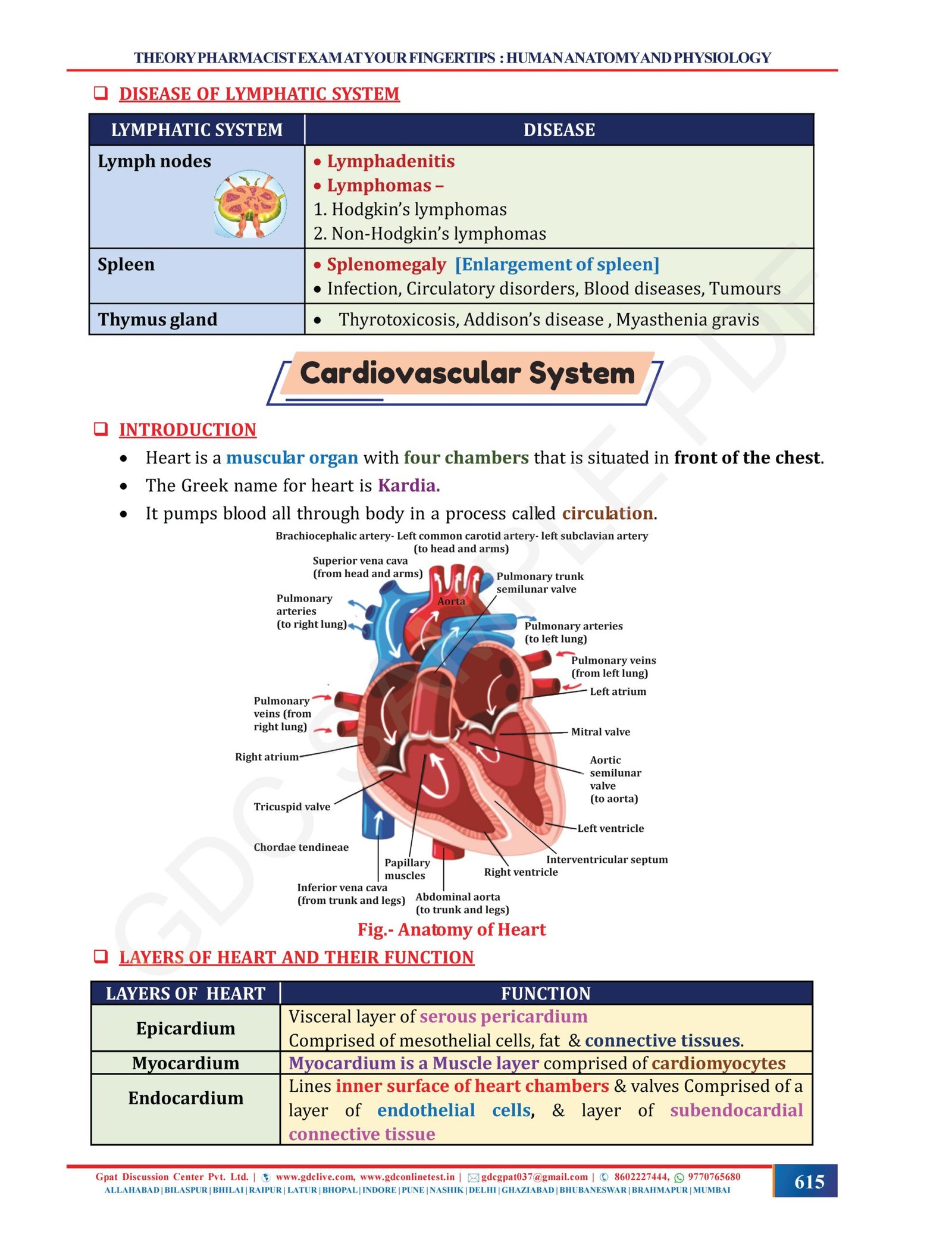 THEORY PHARMACIST EXAM AT YOUR FINGERTIPS (COLOURED HARD COPY BOOK) - Image 6
