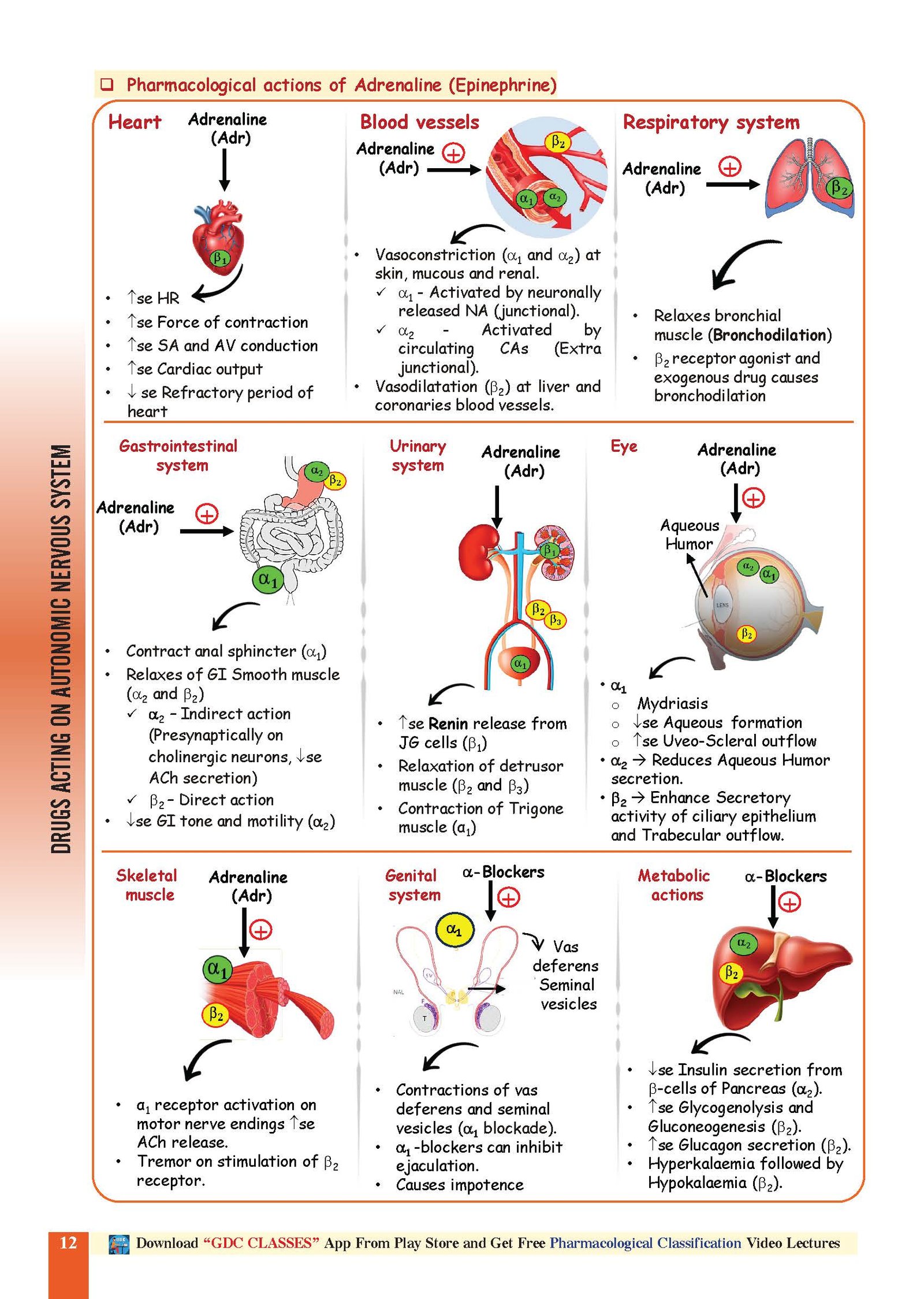 PHARMACOLOGY कुंडली KUNDALI | FREE VIDEOS AND HARD COPY COLOURED BOOK - Image 3